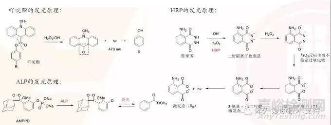IVD之化學(xué)發(fā)光技術(shù)