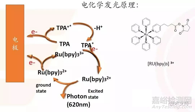 IVD之化學(xué)發(fā)光技術(shù)