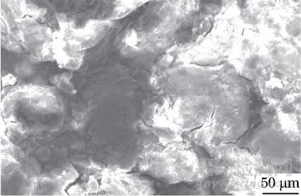 鍍鋅鈍化45A鋼外套螺母及平管嘴腐蝕失效分析