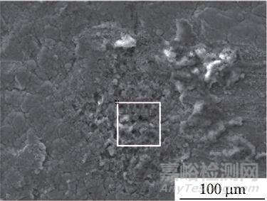 鍍鋅鈍化45A鋼外套螺母及平管嘴腐蝕失效分析