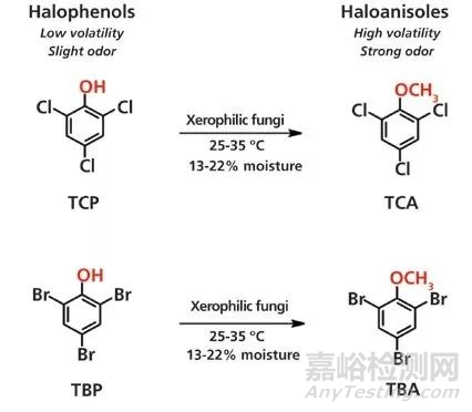 【相容性研究】藥用包材篩選的策略和檢測(cè)項(xiàng)目