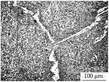 鈦合金材料超聲檢測(cè)實(shí)例分析