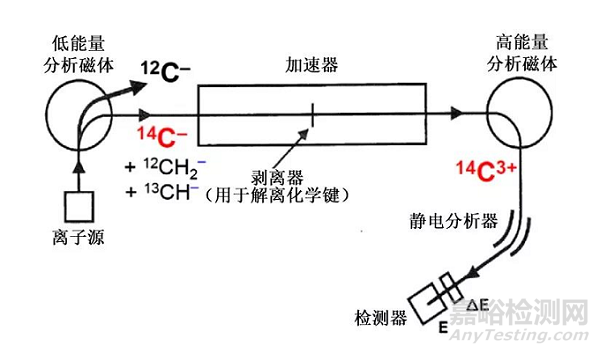 加速器質(zhì)譜儀在生物基塑料檢測中的應(yīng)用
