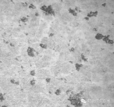 干貨丨6大高碳鉻鋼制軸承套圈熱處理缺陷分析