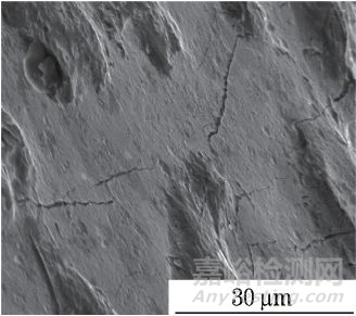 某電動(dòng)泵傳動(dòng)軸斷裂失效分析
