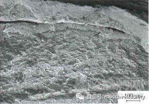 高分子材料構件疲勞開裂