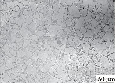 現(xiàn)場金相檢驗技術(shù)及誤判案例分析