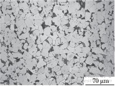 現(xiàn)場金相檢驗技術(shù)及誤判案例分析