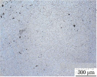 現(xiàn)場金相檢驗技術(shù)及誤判案例分析