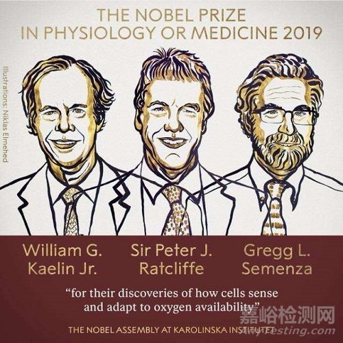 2019年諾貝爾化學獎/物理獎/生理學或醫(yī)學獎全部揭曉