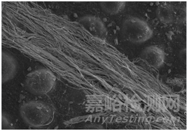 石棉檢測(cè)方法及檢測(cè)標(biāo)準(zhǔn)匯總