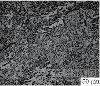 ZG15Cr2Mo1鋼力學(xué)性能差異較大的原因分析