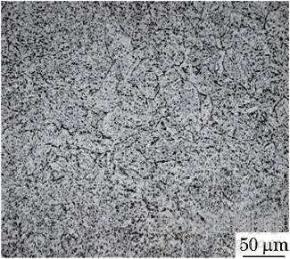 ZG15Cr2Mo1鋼力學(xué)性能差異較大的原因分析