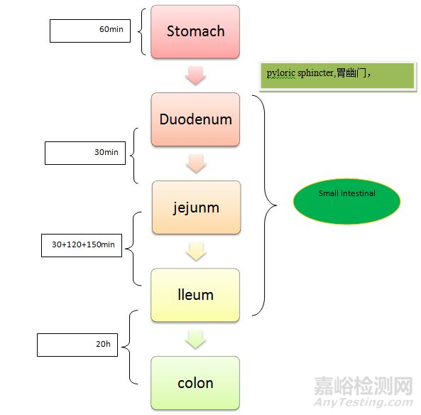從藥物體內(nèi)吸收過程認識制劑開發(fā)