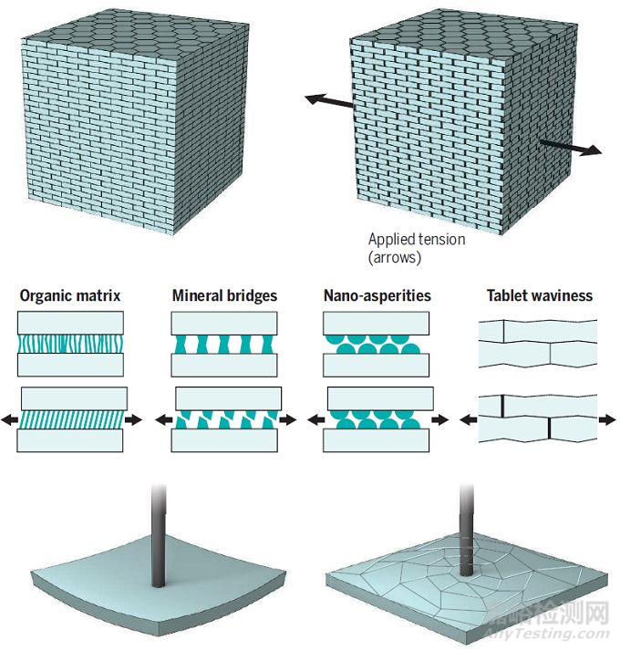 仿生材料研發(fā)最新進(jìn)展大匯總