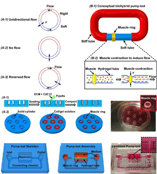 仿生材料研發(fā)最新進(jìn)展大匯總