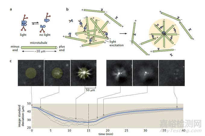 仿生材料研發(fā)最新進(jìn)展大匯總