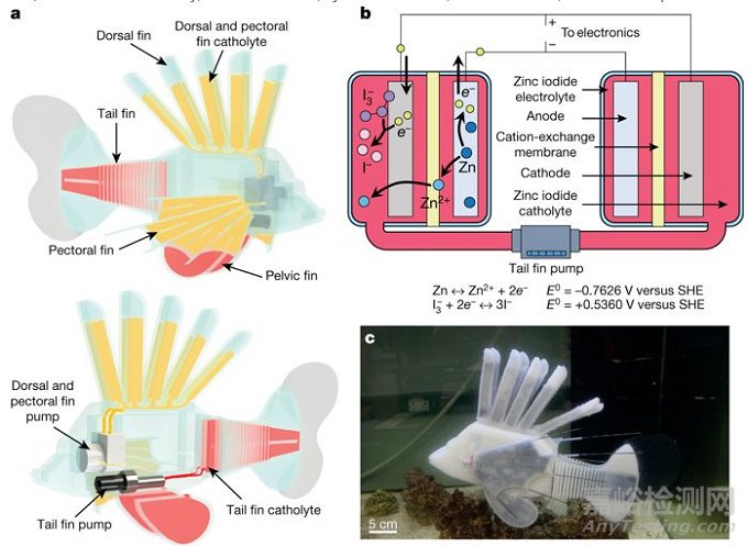 仿生材料研發(fā)最新進(jìn)展大匯總