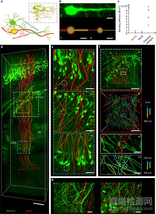 仿生材料研發(fā)最新進(jìn)展大匯總