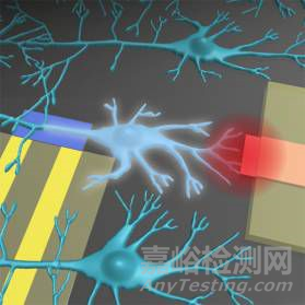 仿生材料研發(fā)最新進(jìn)展大匯總