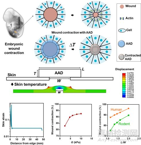 仿生材料研發(fā)最新進(jìn)展大匯總