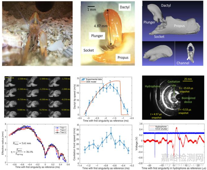 仿生材料研發(fā)最新進(jìn)展大匯總