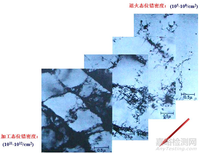 位錯(cuò)增值示意圖