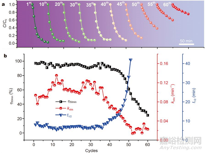 納米尺度非均勻性誘導(dǎo)自更新的鐵基非晶合金