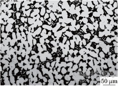 GB/T 6394-2017在鈦合金晶粒度評(píng)定中的應(yīng)用