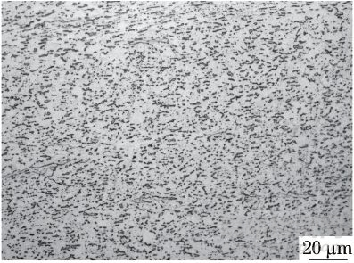 GB/T 6394-2017在鈦合金晶粒度評(píng)定中的應(yīng)用