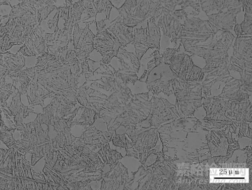 金相法能測定鋯合金的相變溫度