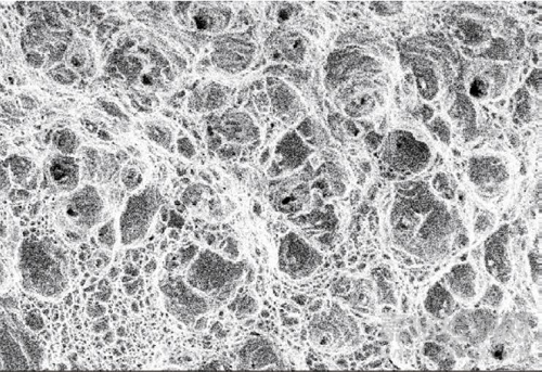 不銹鋼螺釘斷裂失效分析