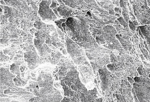 不銹鋼螺釘斷裂失效分析