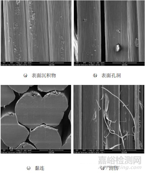 掃描電鏡在PAN基碳纖維形態(tài)結(jié)構(gòu)表征中的應用