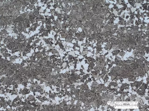 齒輪腹板開裂失效分析