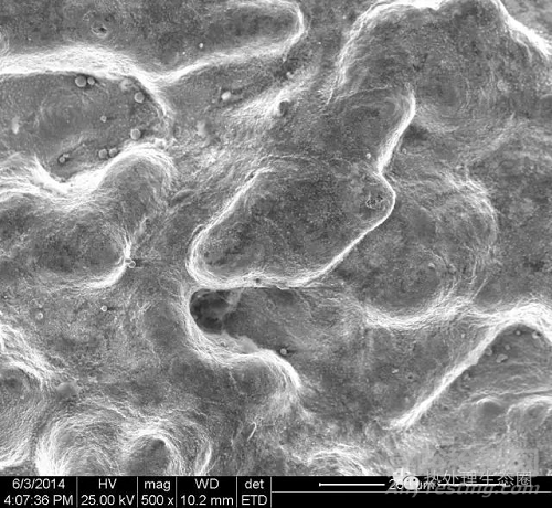 齒輪腹板開裂失效分析