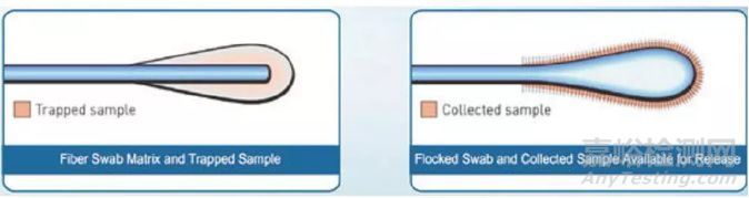 一文讀懂新型冠狀病毒的核酸檢測