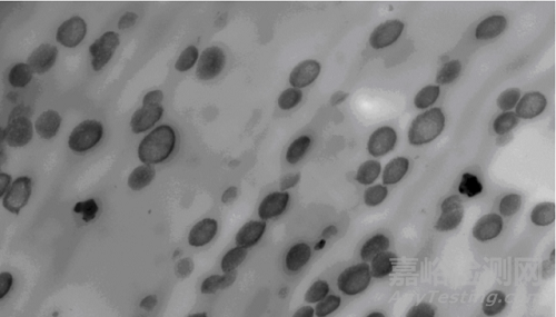 專家深度剖析PC/ABS光老化