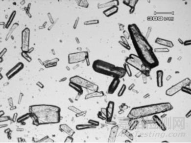 光學(xué)顯微鏡在制藥中的應(yīng)用淺析