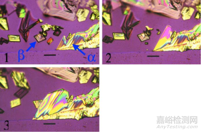 光學(xué)顯微鏡在制藥中的應(yīng)用淺析