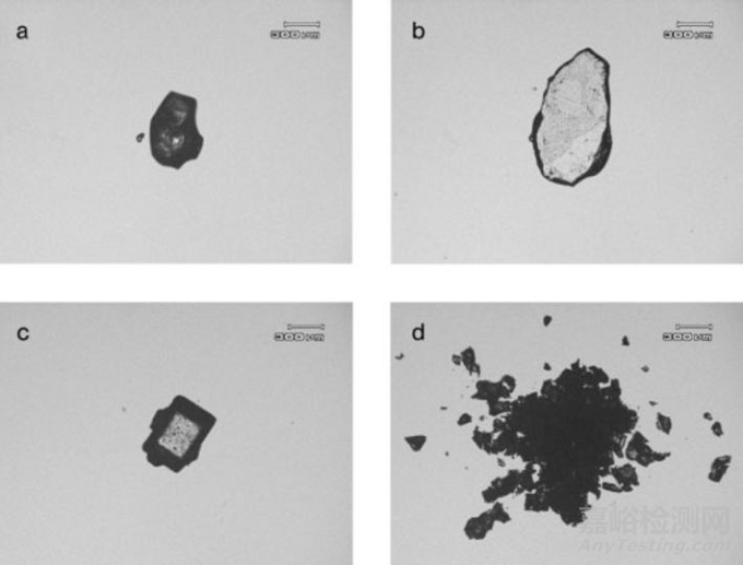 光學(xué)顯微鏡在制藥中的應(yīng)用淺析