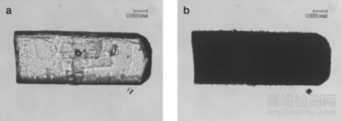 光學(xué)顯微鏡在制藥中的應(yīng)用淺析