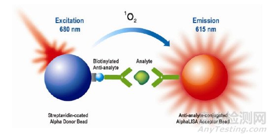AlphaLISA方法測定抗白介素-17受體單抗生物學(xué)活性