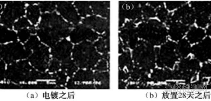 Sn晶須生長的機(jī)理與抑制