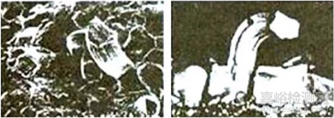 Sn晶須生長的機(jī)理與抑制