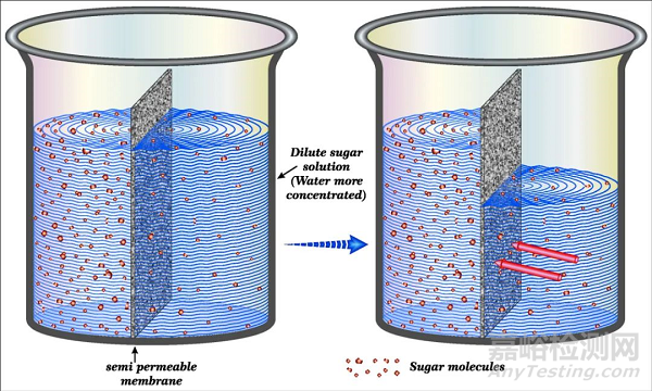 為什么增加溶解度，BCS II類藥物吸收率還是低？ 