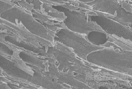 高分子材料研發(fā)常用測(cè)試手段
