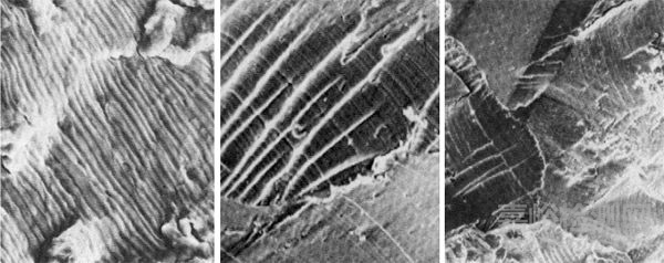 金屬構(gòu)件的疲勞與疲勞斷裂