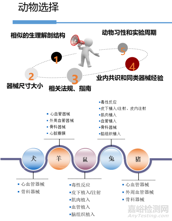 醫(yī)療器械原位植入實驗方法與實例詳解