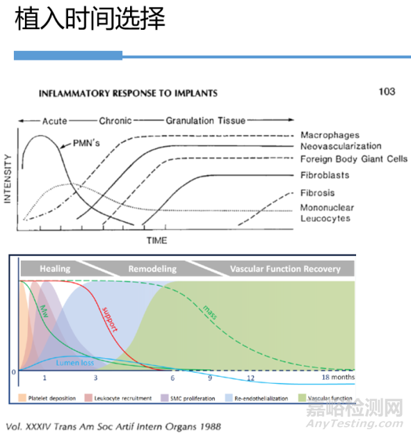 醫(yī)療器械原位植入實驗方法與實例詳解